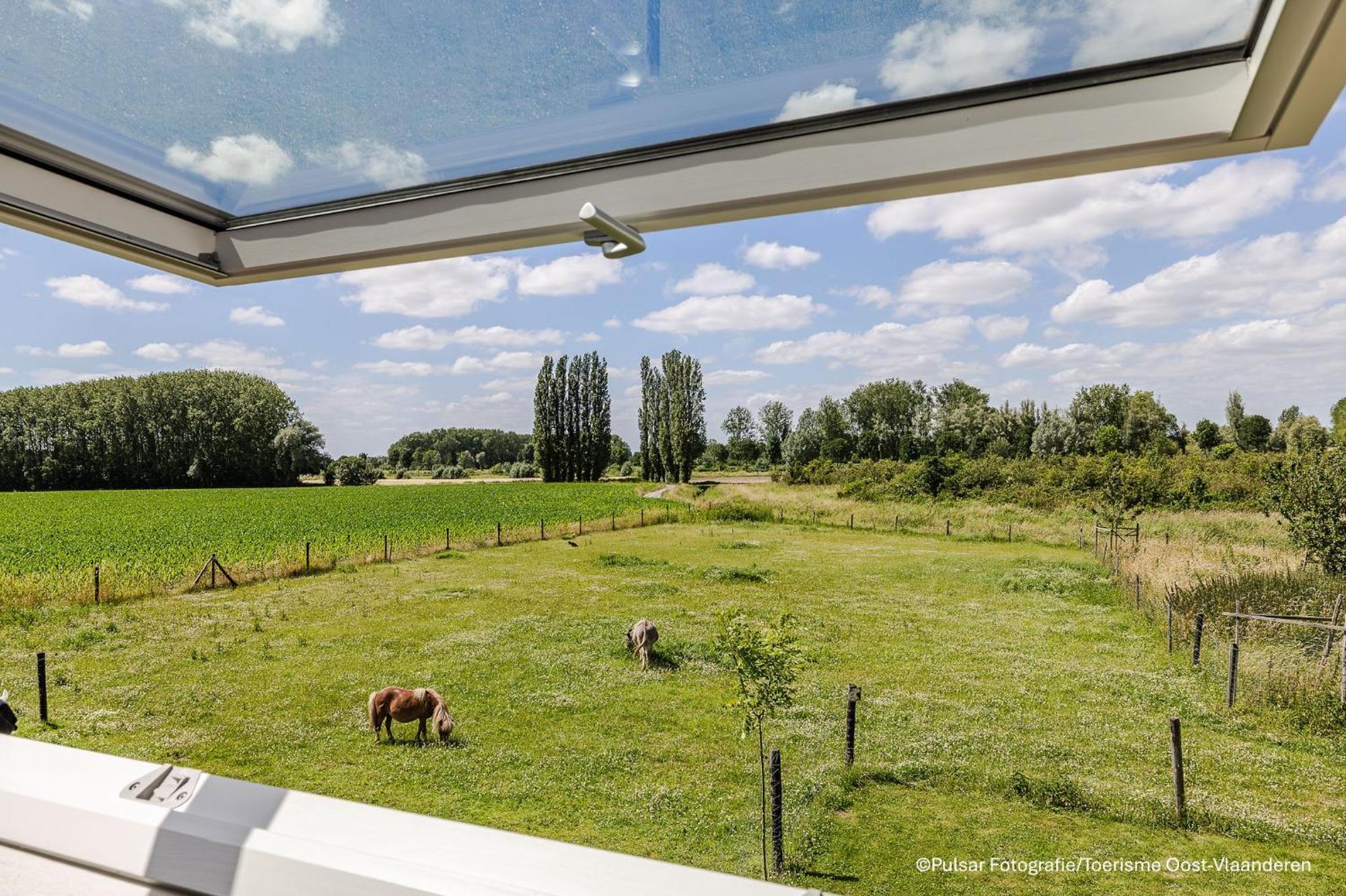 Villa Op 'T Roth à Audenarde Extérieur photo